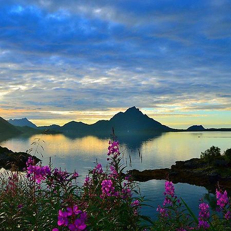 Skjellbogen Hyttegrend Сортланн Экстерьер фото