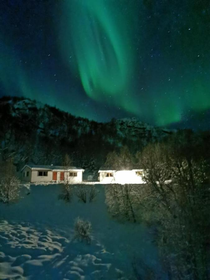 Skjellbogen Hyttegrend Сортланн Экстерьер фото